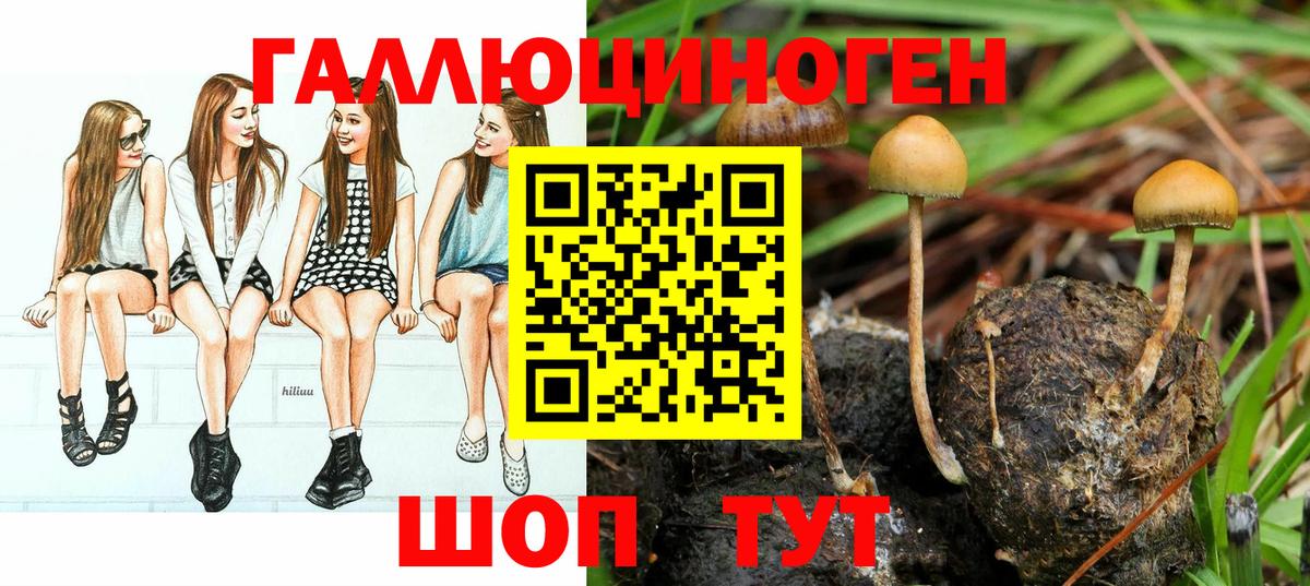 Галлюциногенные грибы Cubensis Кимовск