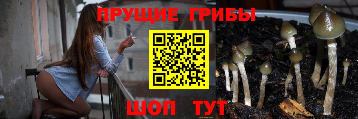купить закладку  Псилоцибиновые грибы мицелий  Вход с VPN  Кимовск 